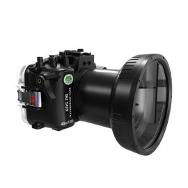 sea frogs canon R6 underwater housing