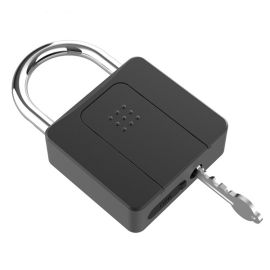 smart fingerprint lock with key cabinet door padlock