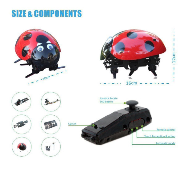 Wholesale DIY RC ladybug robot 2.4GHz rechargeable toys free shipping