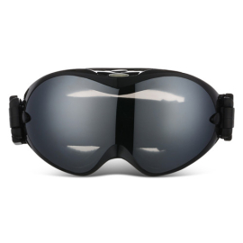 Wholesale Ski Goggles Eyewear 2-layer Lens Safety Glasses