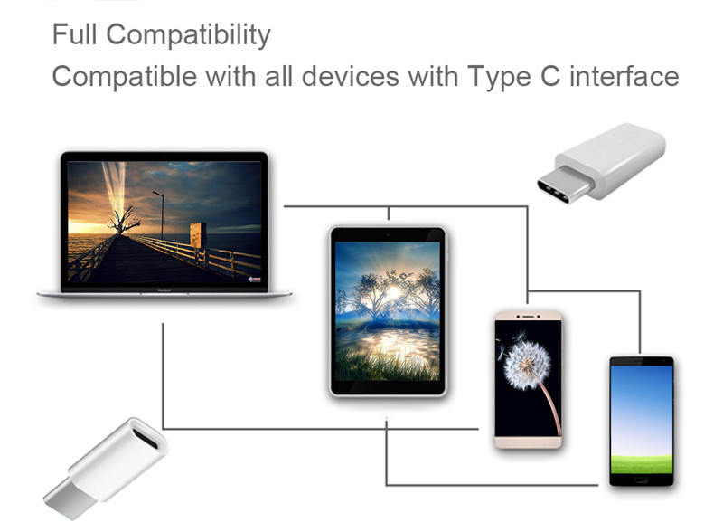 USB 3.1 Type-C Male to Micro USB Female Converter