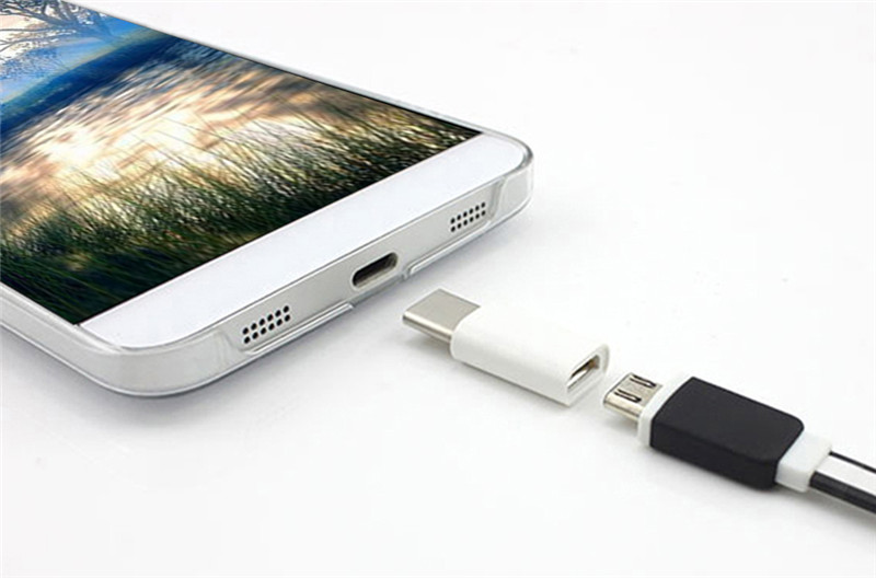 USB 3.1 Type-C Male to Micro USB Female Converter