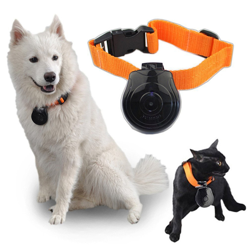 Digital Pet Collar Cam Camera Mini Video Recorder DVR Monitor