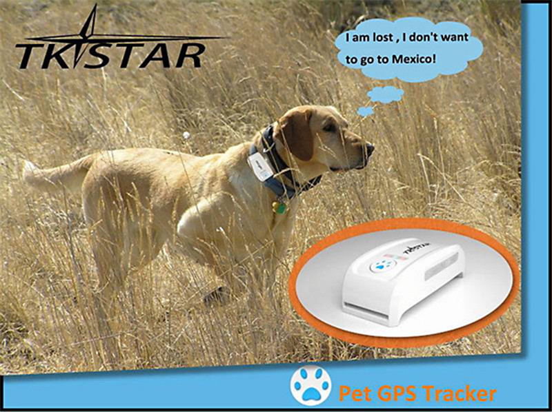 DMDG mini waterproof IPX6 GSM GPRS GPS pet strap tracker