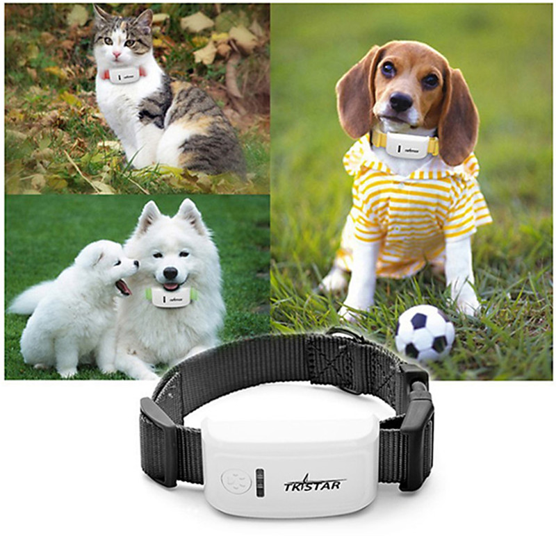 DMDG mini waterproof IPX6 GSM GPRS GPS pet strap tracker