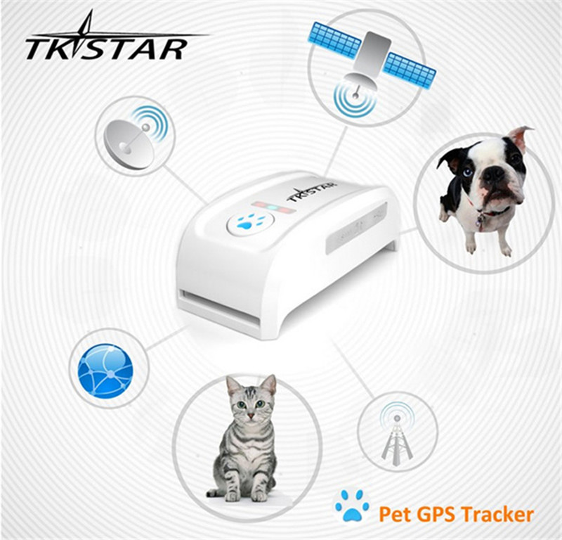 DMDG mini waterproof IPX6 GSM GPRS GPS pet strap tracker