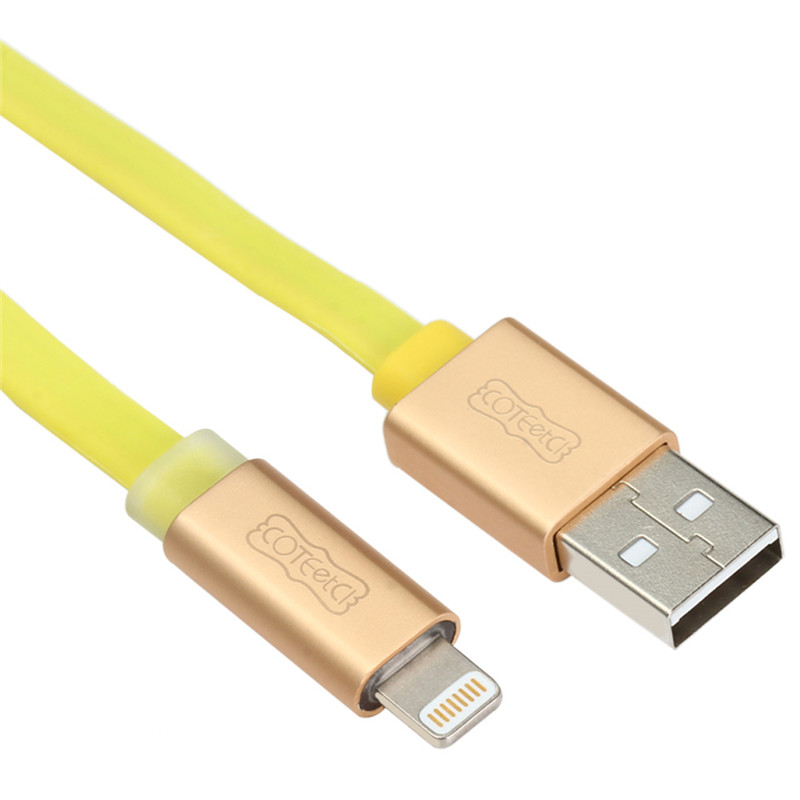 COTEetCI R1 MFI Certified 8 Pin Male to USB Male Charging Data Sync Cable