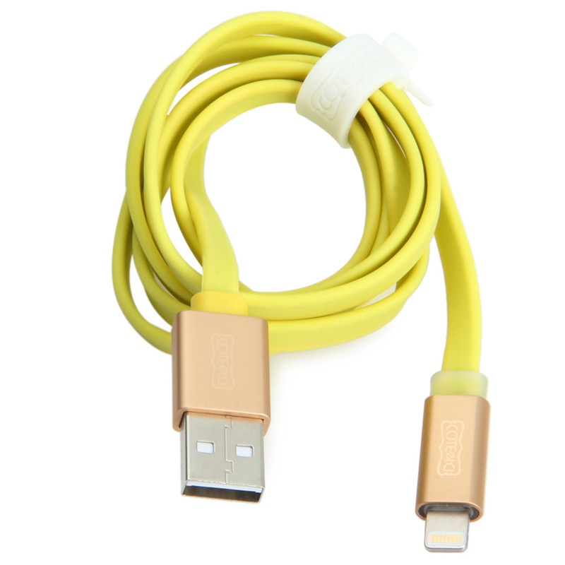 COTEetCI R1 MFI Certified 8 Pin Male to USB Male Charging Data Sync Cable COTEetCI R1 MFI Certified 8 Pin Male to USB Male Charging Data Sync Cable