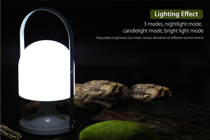 USB 9owered LED desk lamp night light outdoor camping lantern