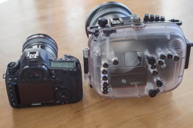 5D mark III housing