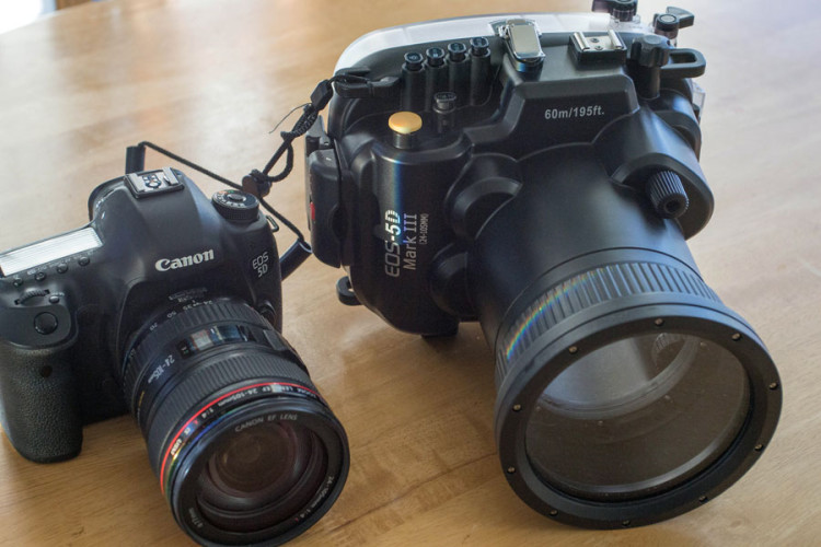 5D mark III housing 5D mark III housing