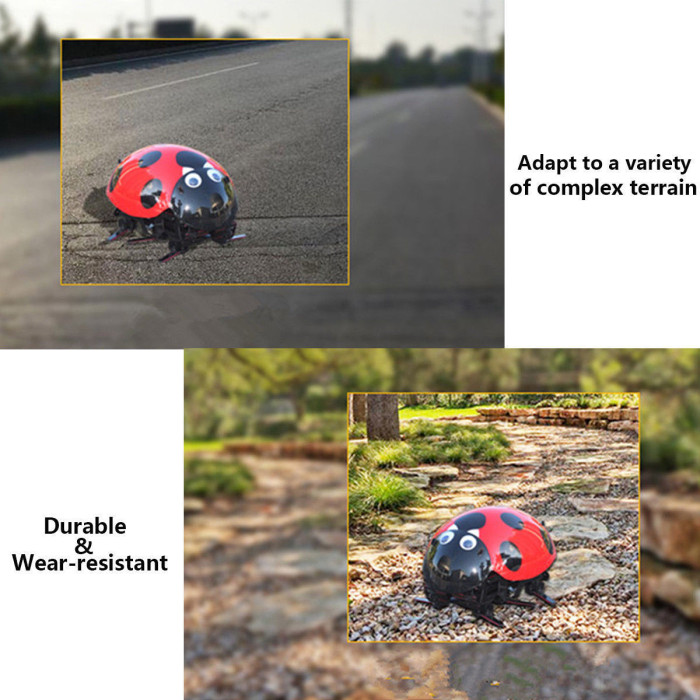 DIY RC Ladybug Robot 2.4GHz Rechargeable Toys