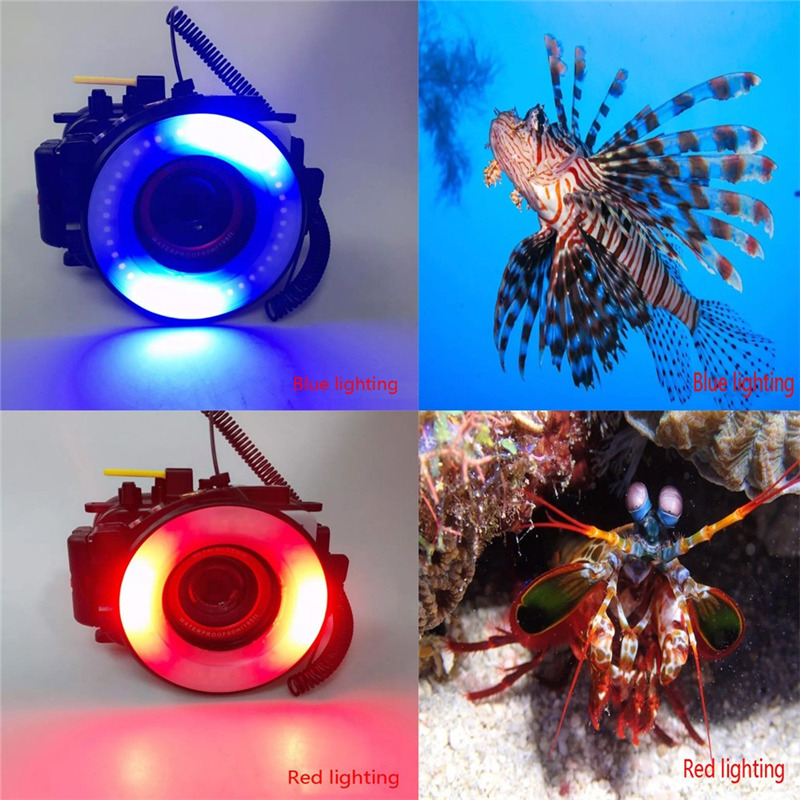 seafrogs sl-108 led ring flash light camera housing