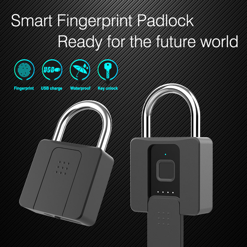 smart fingerprint lock with key cabinet door padlock