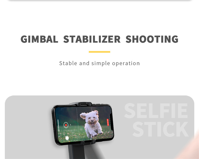 L09 gimbal stabilizer with fill light mini selfie stick tripod