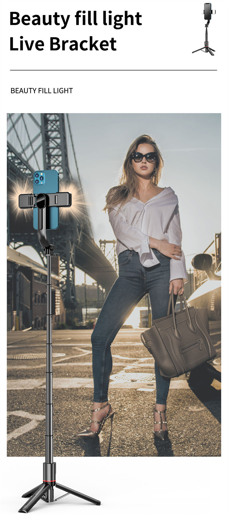L12D mini foldable selfie stick tripod L12D mini foldable selfie stick tripod