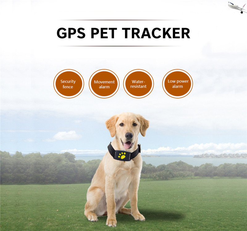 Pet Tracker GPS Dog Z8 - A Pet Tracker GPS Dog Z8 - A