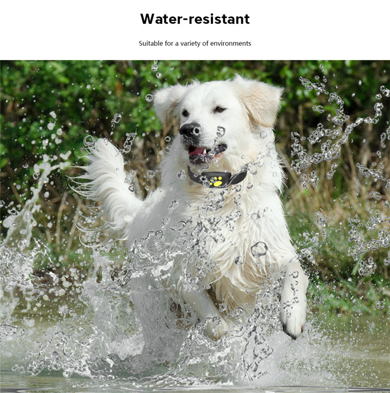 Pet Tracker GPS Dog Z8 - A Pet Tracker GPS Dog Z8 - A