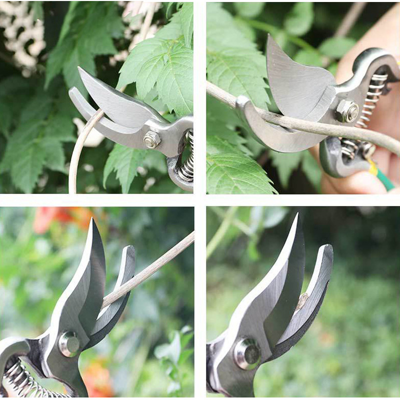 pruning shears plant trim horticulture hand pruner shrub garden scissors