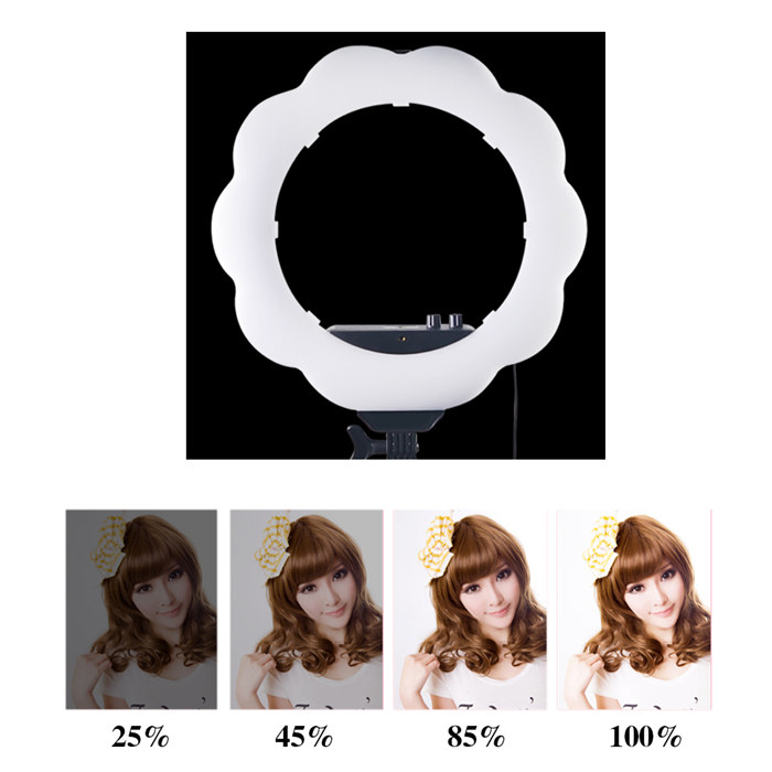 384pcs Dimmable Ring Studio Outdoor Video LED Light 384pcs Dimmable Ring Studio Outdoor Video LED Light